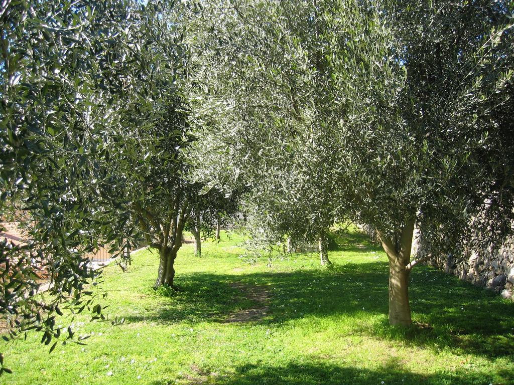 Mas De Vence - Hotel-Restaurant Exteriör bild